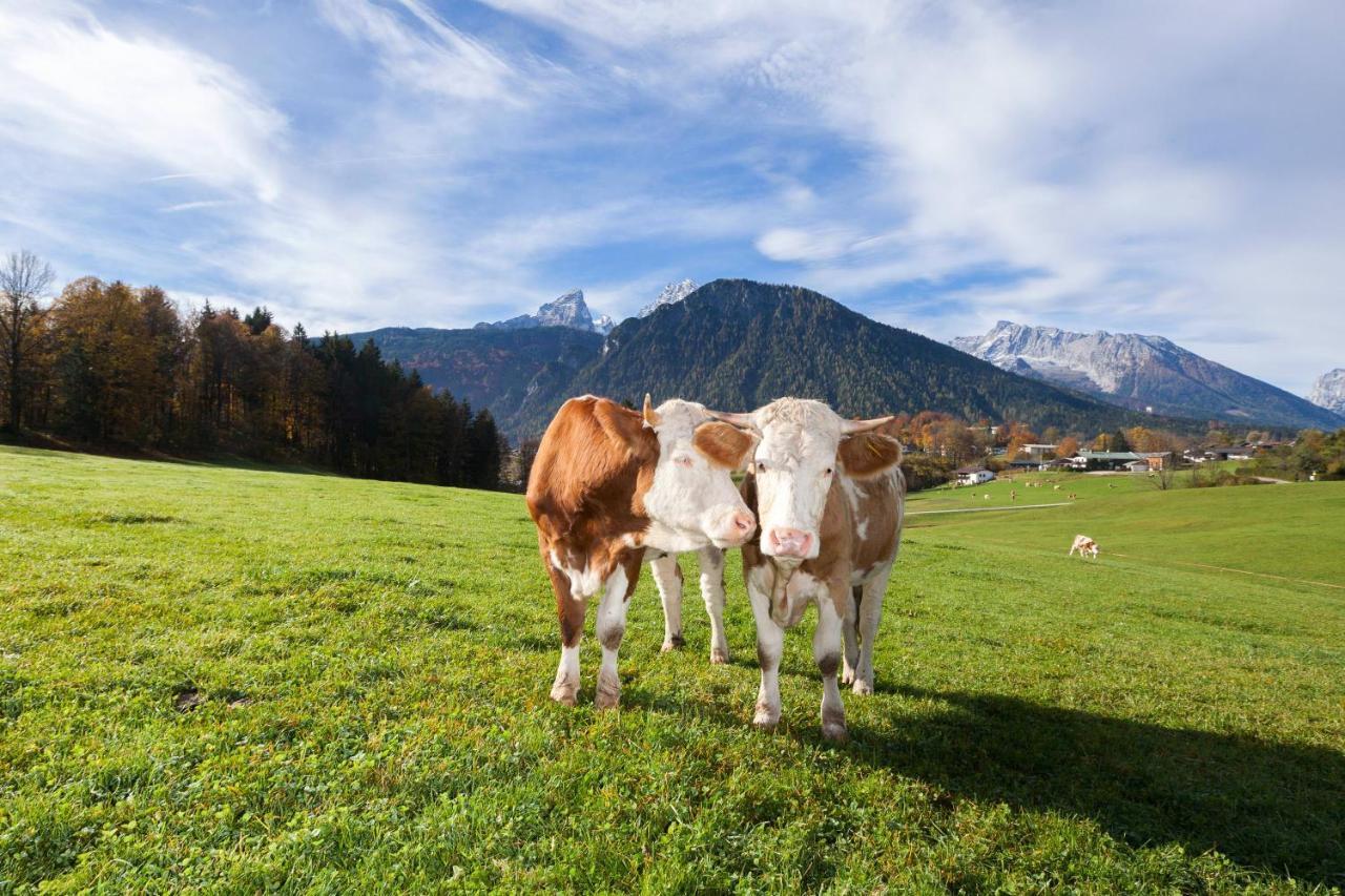 Gaestehaus Untersulzberglehen Schönau am Königssee Dış mekan fotoğraf
